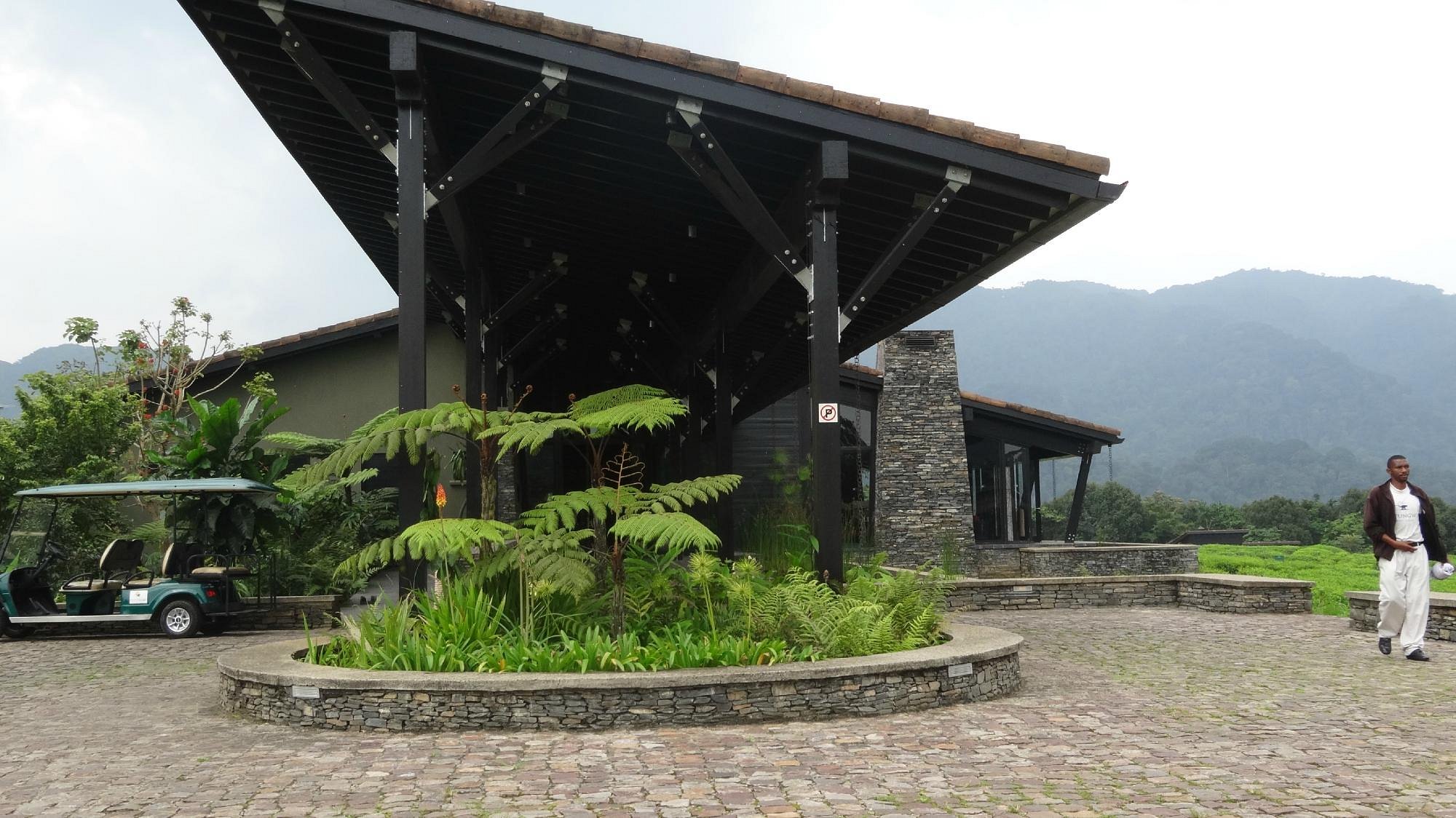 List of Midrange lodges Nyungwe national park on Rwanda Chimpanzee tracking